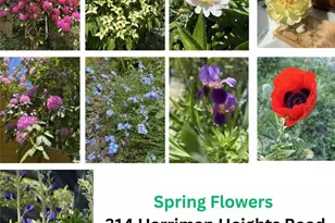 [Address not provided], Harriman, NY 10926 - Photo 31