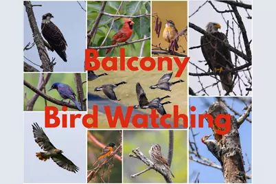 100 E Hartsdale Avenue #4JE, Hartsdale, NY 10530 - Photo 25