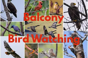 100 E Hartsdale Ave, Hartsdale, NY 10530 - Photo 25