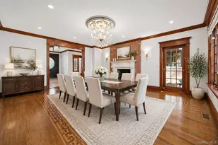 3 Chestnut Ct, Old Westbury, NY 11568 - Photo 13