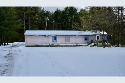 95 Pine Tree Lane, Cairo, NY 12413 - Photo 1