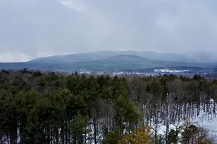 95 Pinetree Ln, Cairo, NY 12413 - Photo 15