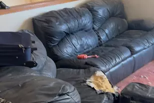 11 Taurgo Ln, Centereach, NY 11720 - Photo 5