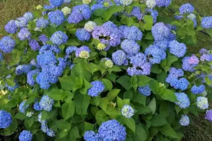 6 Jill Marie Cir, Wallkill, NY 12589 - Photo 47