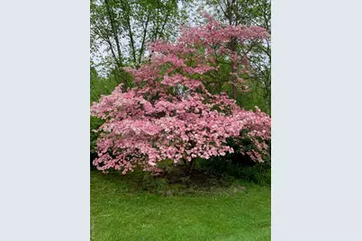 6 Jill Marie Circle, Wallkill, NY 12589 - Photo 45