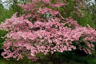 6 Jill Marie Cir, Wallkill, NY 12589 - Photo 45