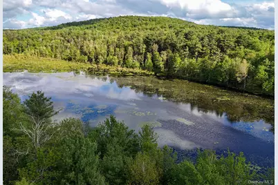 6 Lakeside Drive, Monticello, NY 12701 - Photo 43