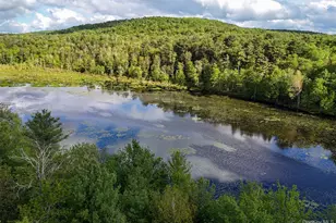 6 Lakeside Dr, Monticello, NY 12701 - Photo 43