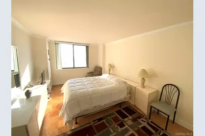 26910 Grand Central Parkway #8Y, Floral Park, NY 11005 - Photo 11