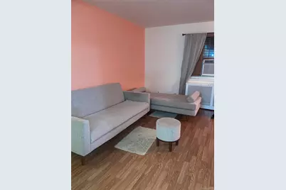224-04 Manor Road #First Floor, Queens Village, NY 11427 - Photo 3