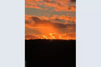 385 Evergreen Lane, Narrowsburg, NY 12764 - Photo 27