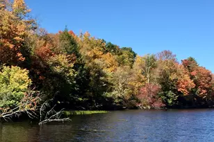 9 Canterbury Ct, White Lake, NY 12720 - Photo 3