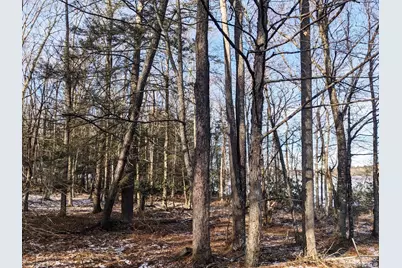 9 Canterbury Court, White Lake, NY 12720 - Photo 25