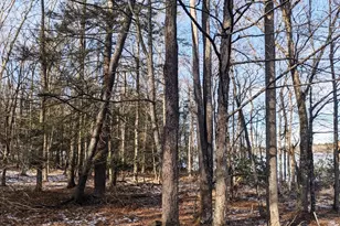 9 Canterbury Ct, White Lake, NY 12720 - Photo 25