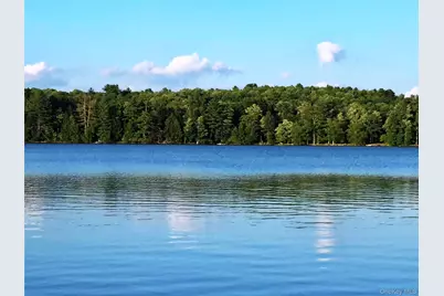 9 Canterbury Court, White Lake, NY 12720 - Photo 5