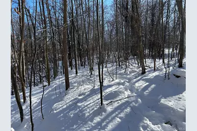 20 Hickory Lane, Pawling, NY 12564 - Photo 5