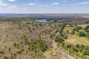 87 Airport Rd, Eldred, NY 12732 - Photo 29