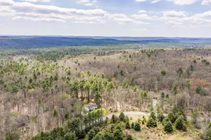 87 Airport Rd, Eldred, NY 12732 - Photo 31