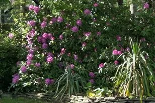 5 Haiti Ln, Coram, NY 11727 - Photo 43