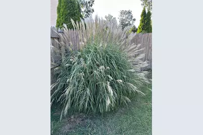 5 Haiti Lane, Coram, NY 11727 - Photo 47