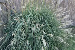 5 Haiti Ln, Coram, NY 11727 - Photo 47