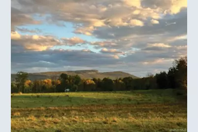 29 Rest Plaus Road, Stone Ridge, NY 12484 - Photo 41