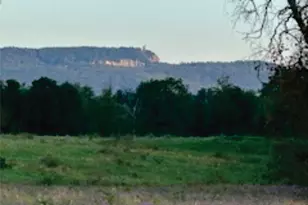 29 Rest Plaus Rd, Stone Ridge, NY 12484 - Photo 43