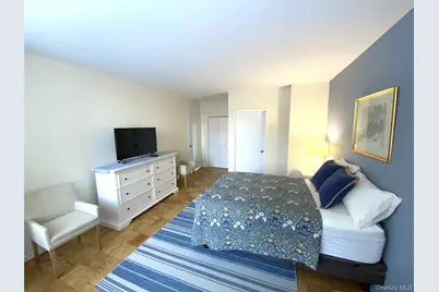 27110 Grand Central Parkway #1E, Floral Park, NY 11005 - Photo 21