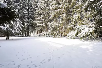 4 Crabapple Court, Monsey, NY 10952 - Photo 19