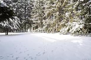 4 Crabapple Ct, Monsey, NY 10952 - Photo 19