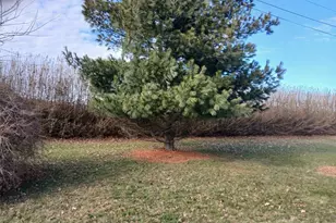 7850 Bridge Ln, Cutchogue, NY 11935 - Photo 3