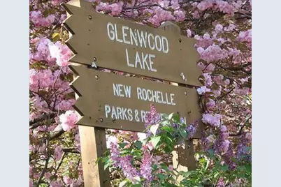 11 Muir Place, New Rochelle, NY 10801 - Photo 29