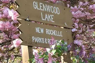 11 Muir Pl, New Rochelle, NY 10801 - Photo 29