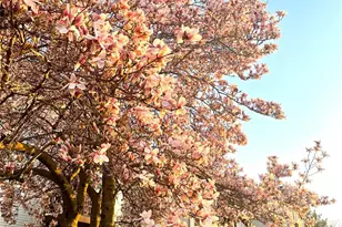 7 Loudon Dr, Fishkill, NY 12524 - Photo 31