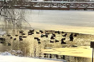 7 Loudon Dr, Fishkill, NY 12524 - Photo 23