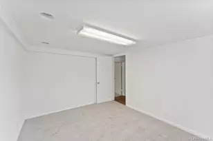 376 Hunnewell Ave, Elmont, NY 11003 - Photo 21