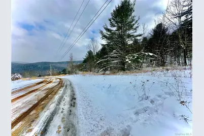 Quail Ridge Road, Margaretville, NY 12455 - Photo 11