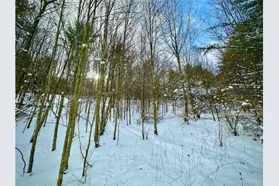 Quail Ridge Road, Margaretville, NY 12455 - Photo 31