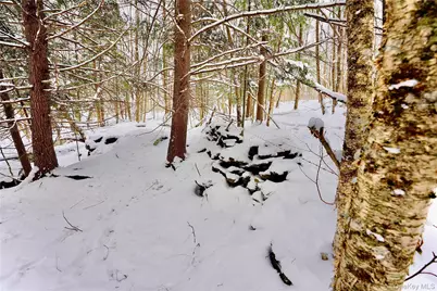 Quail Ridge Road, Margaretville, NY 12455 - Photo 33