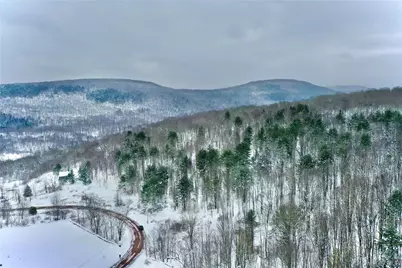 Quail Ridge Road, Margaretville, NY 12455 - Photo 1