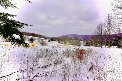 Quail Ridge Road, Margaretville, NY 12455 - Photo 23