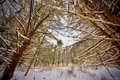 Quail Ridge Road, Margaretville, NY 12455 - Photo 21