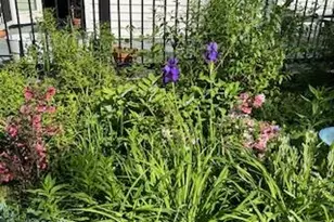 31 Wilson Blvd, Poughkeepsie, NY 12603 - Photo 27