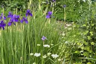 31 Wilson Blvd, Poughkeepsie, NY 12603 - Photo 23