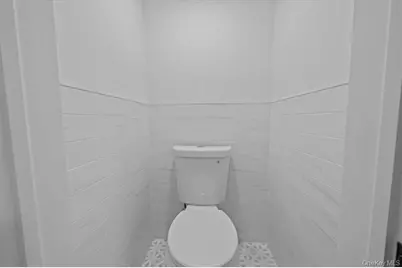 905 E 49th Street, Brooklyn, NY 11203 - Photo 23