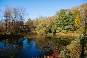 526 Jeffersonville North Branch Rd, North Branch, NY 12766 - Photo 35