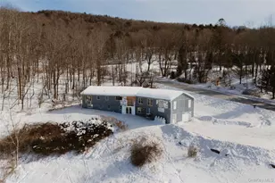 526 Jeffersonville North Branch Rd, North Branch, NY 12766 - Photo 29