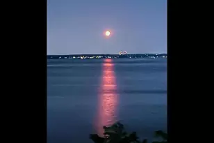 1110 Stadium Ave, Bronx, NY 10465 - Photo 25