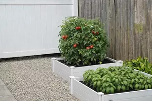 155 Alexander Ave, Nesconset, NY 11767 - Photo 7