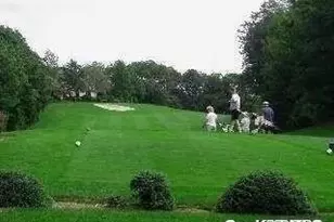 239 Birchwood Rd, Coram, NY 11727 - Photo 25